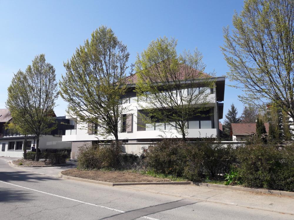 20190415-151959.jpg