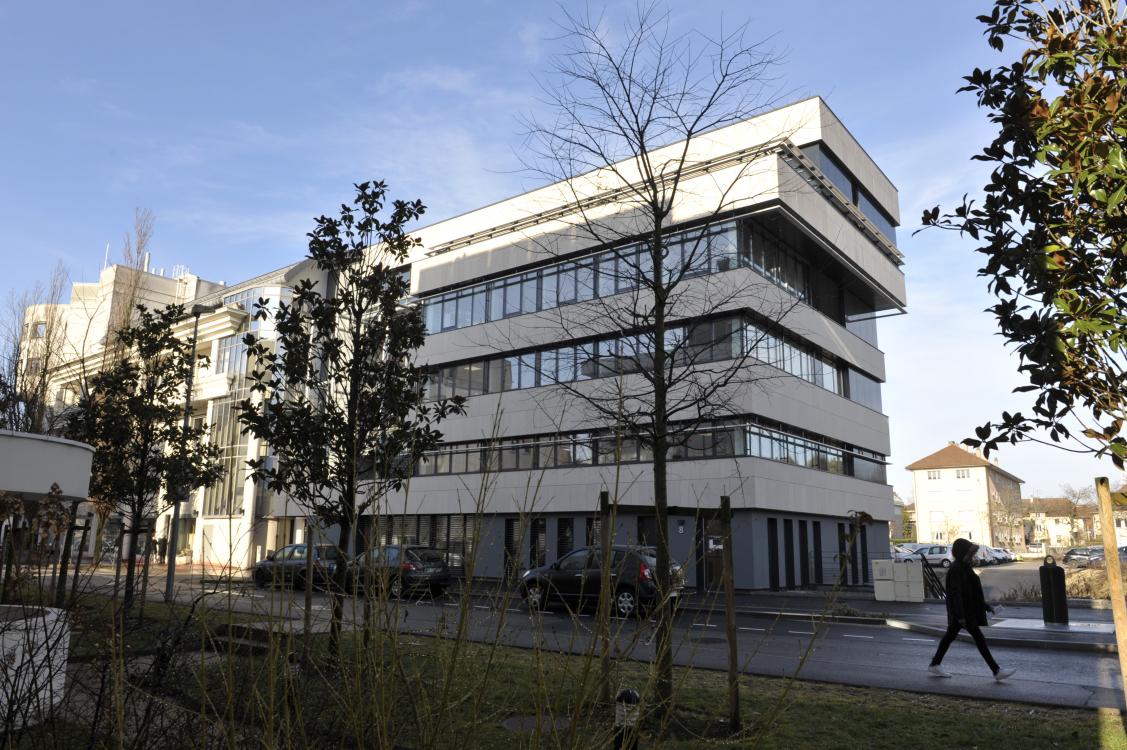 BSC0482.jpg