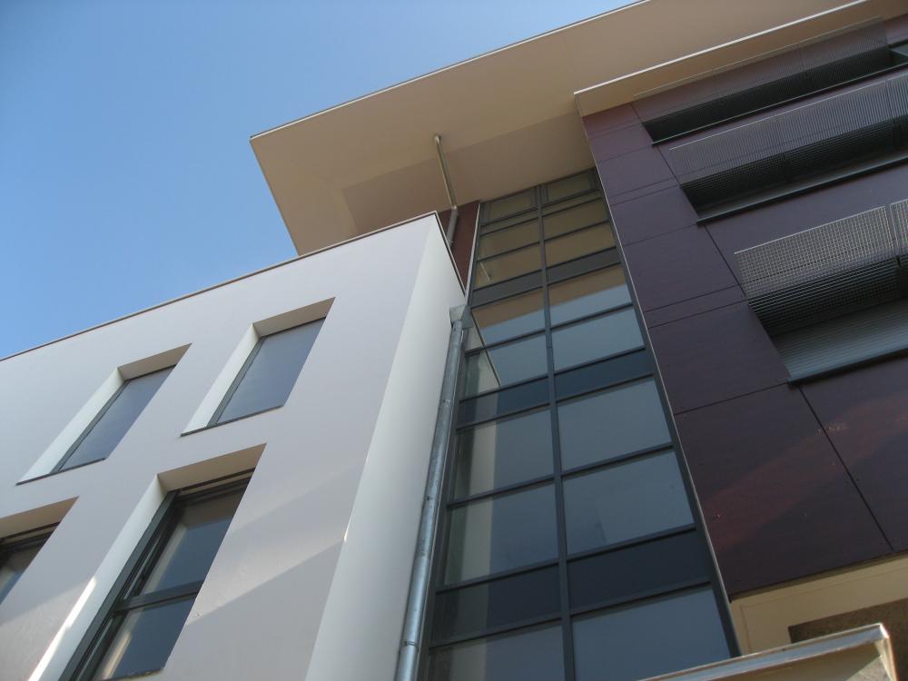 IMG-4284.jpg