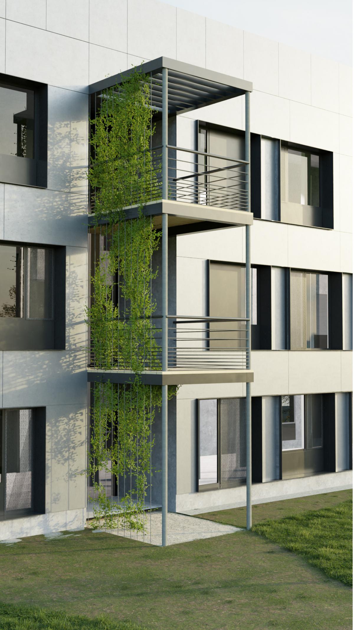 Zoom-sur-les-terrasses-2.jpg